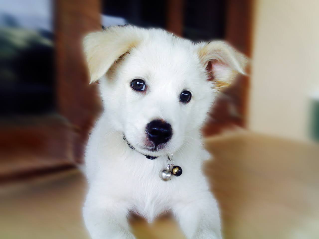 Tokki Gallery